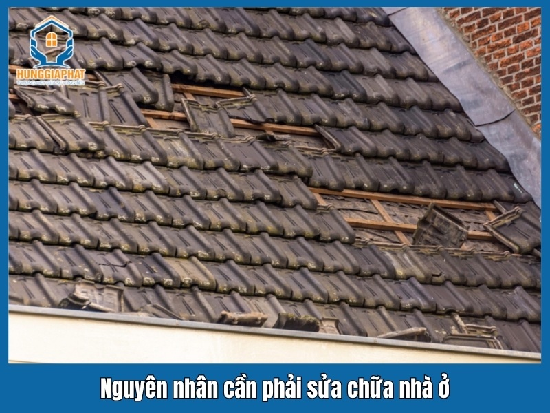 Nguyen nhan can phai sua chua nha o
