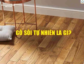 Gỗ sồi tự nhiên là gì?