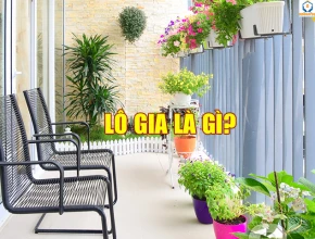 Lô Gia Là Gì? Mốt số đặc điểm thiết kế đặc biệt của Logia