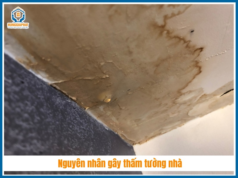 Nguyên nhân gây thấm tường nhà